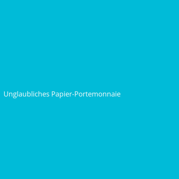 Unglaubliches Papier-Portemonnaie